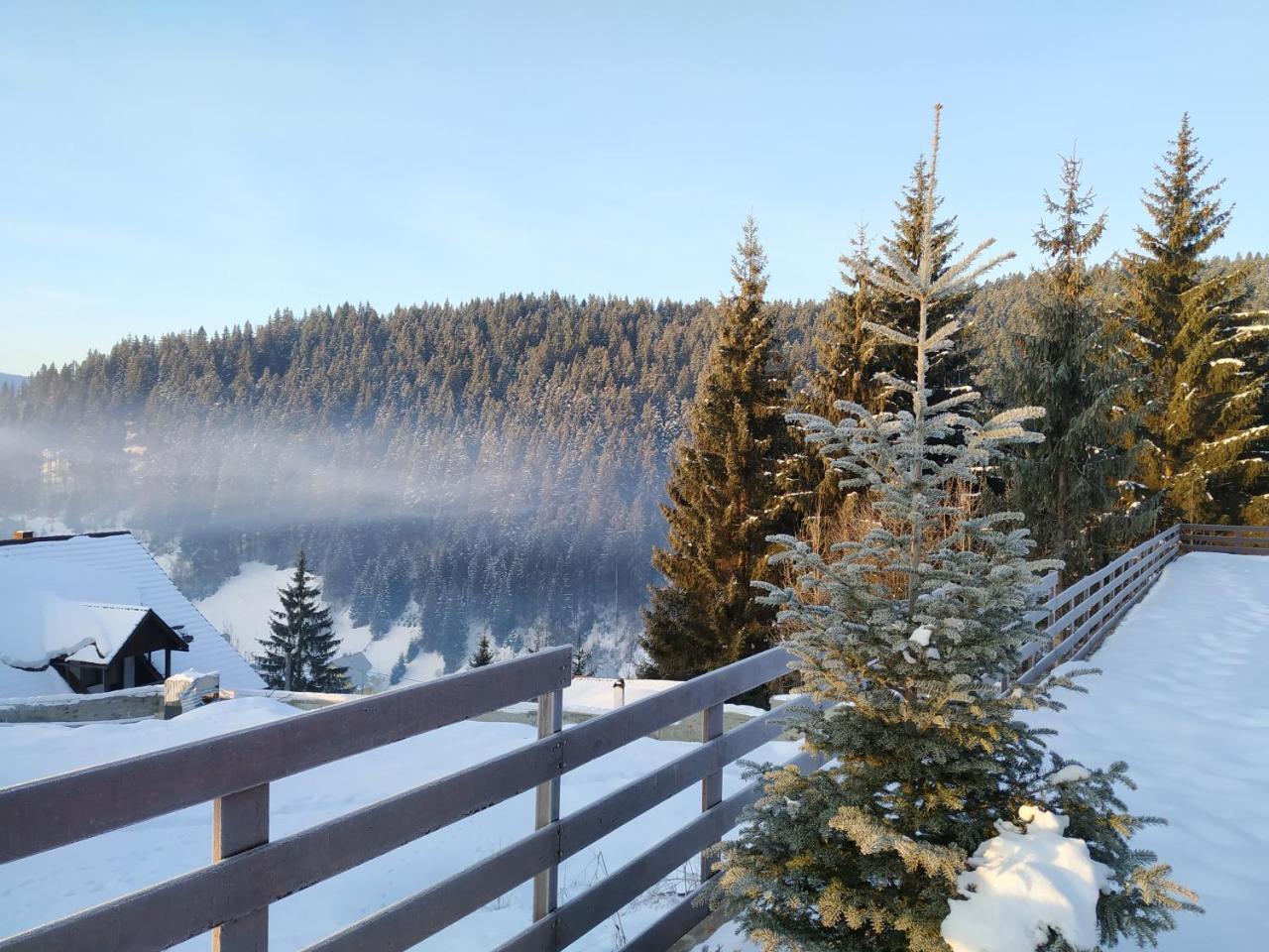 Villa Montana Borsec Eksteriør bilde