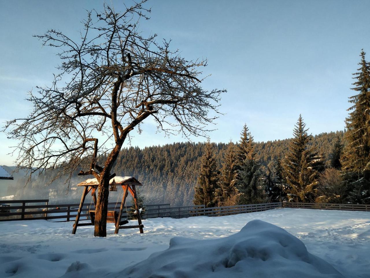 Villa Montana Borsec Eksteriør bilde
